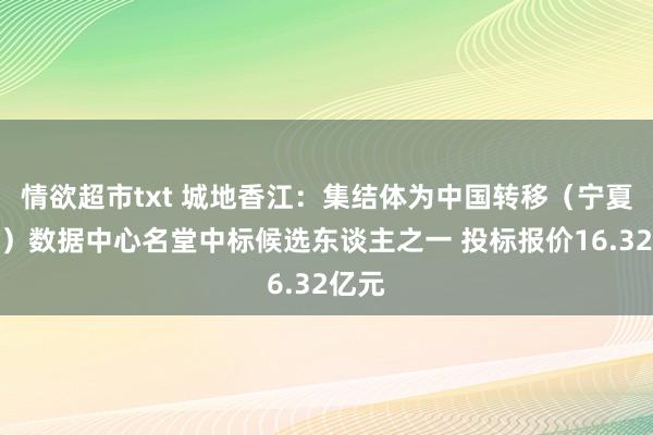 情欲超市txt 城地香江：集结体为中国转移（宁夏中卫）数据中心名堂中标候选东谈主之一 投标报价16.32亿元