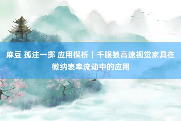 麻豆 孤注一掷 应用探析｜千眼狼高速视觉家具在微纳表率流动中的应用