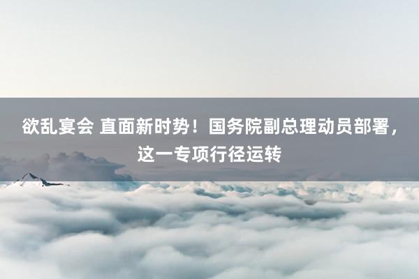 欲乱宴会 直面新时势！国务院副总理动员部署，这一专项行径运转